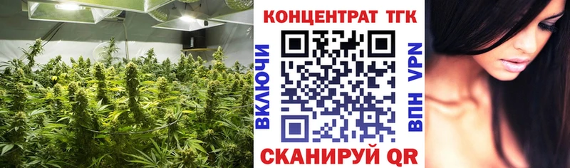 KRAKEN ссылка  Северская  Дистиллят ТГК жижа 