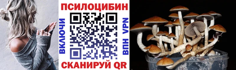 где продают наркотики  Северская  ОМГ ОМГ tor  Галлюциногенные грибы MAGIC MUSHROOMS 